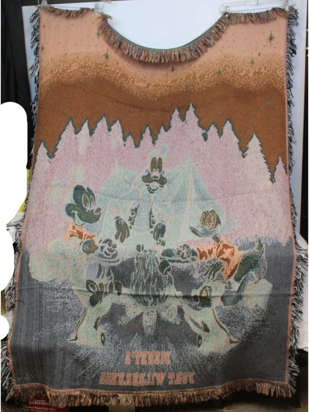 Disney tapestry blanket
